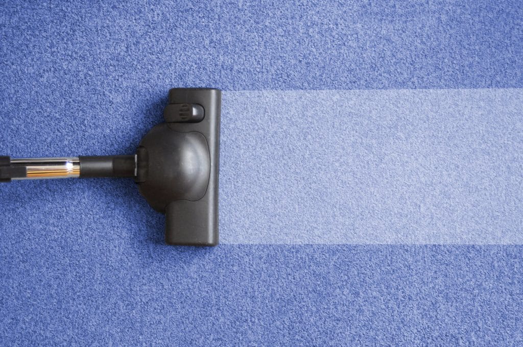 Professional Carpet Steam Cleaning Services TLC Cleaning