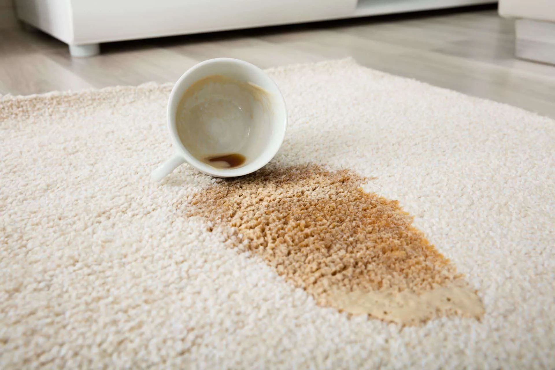 How to Remove Set-In Stains in Your Carpet 17 coffee cup spilled on to carpet