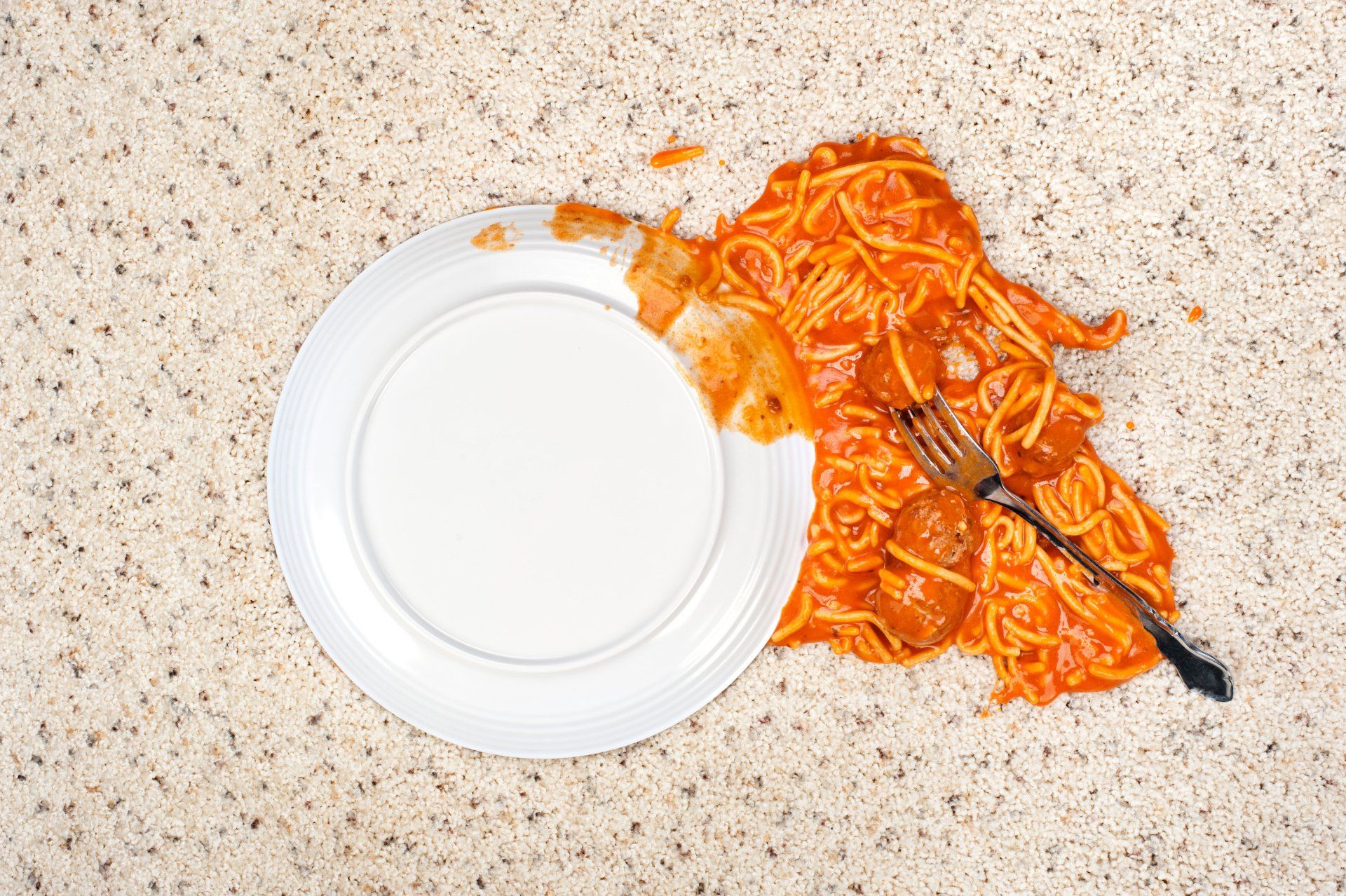 a plate of spaghetti spilled on carpet