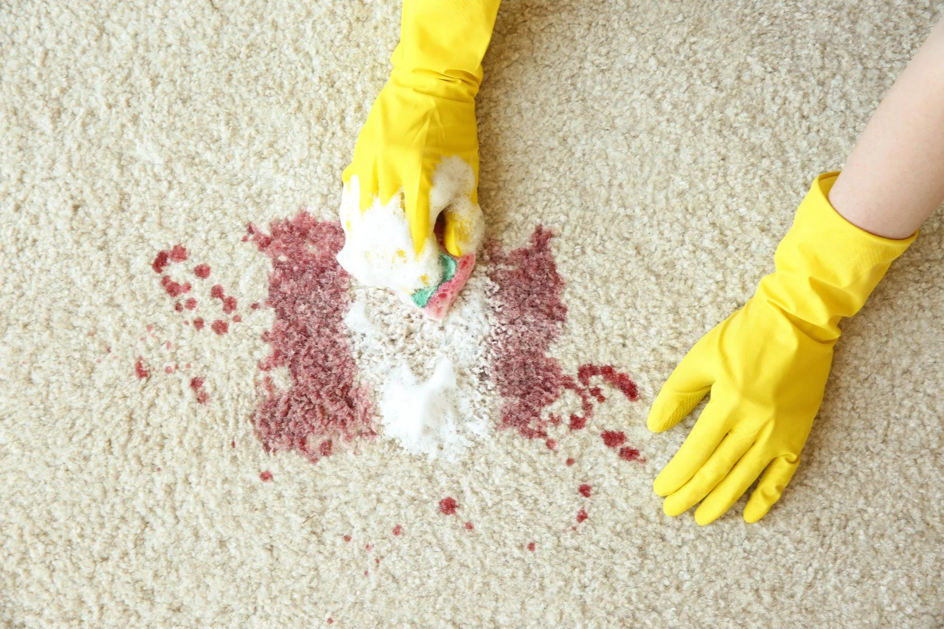 How to Care for Your Area Rugs 27 a person yellow rubber gloves cleaning a red wine stain from carpet with a sponge
