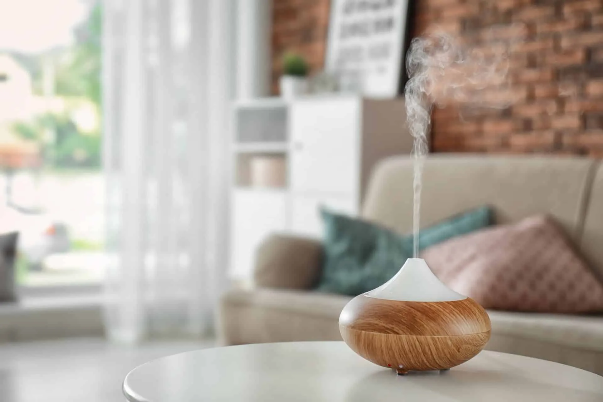 A Clean house Creates a Sanctuary to Recharge 32 Smell matter