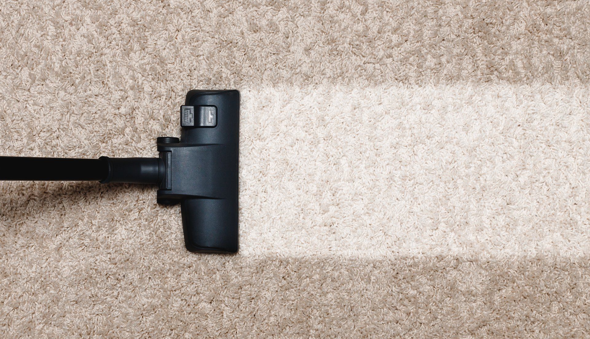 a steam cleaner cleaning carpet