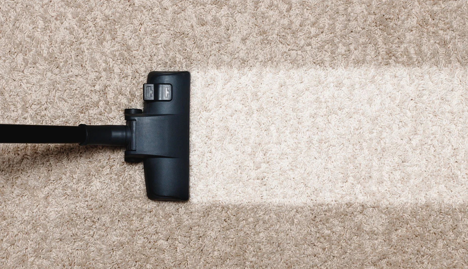 How to Remove Set-In Stains in Your Carpet 20 a steam cleaner cleaning carpet