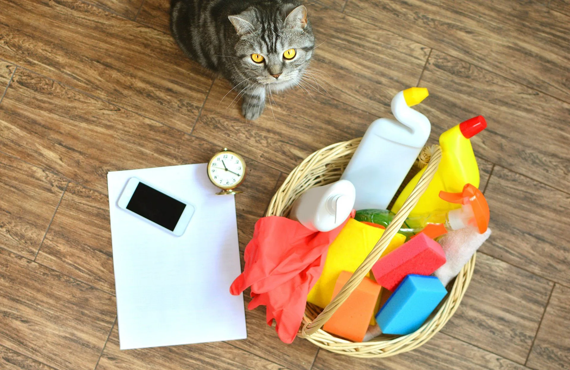 What You Should be Cleaning in Your Home Every Single Day 9 tabby cat next to a basket of cleaning supplies, an alarm clock and a cell phone