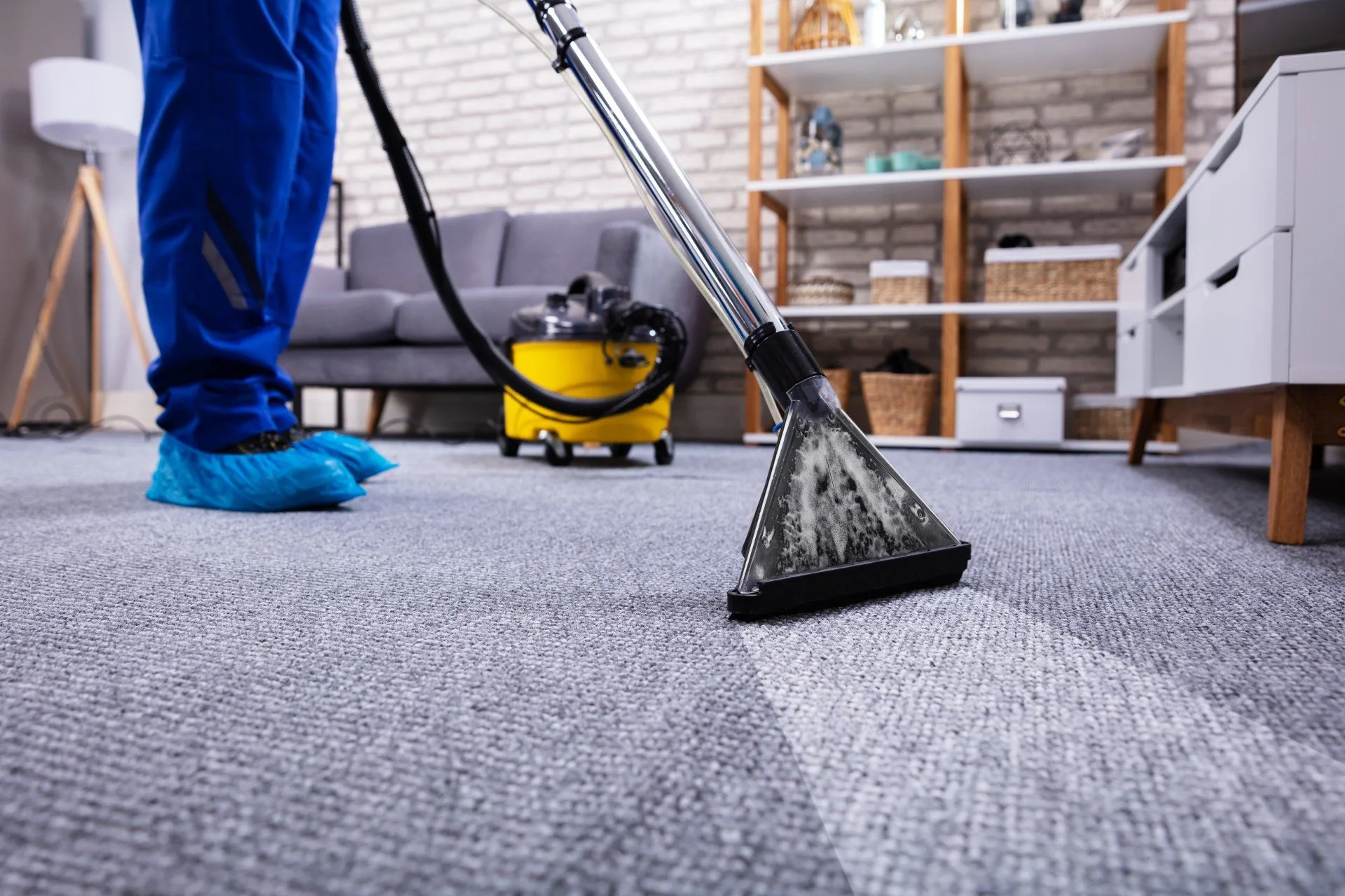 How Often Should You Clean Your Carpets? 23 a professional cleaning a carpet