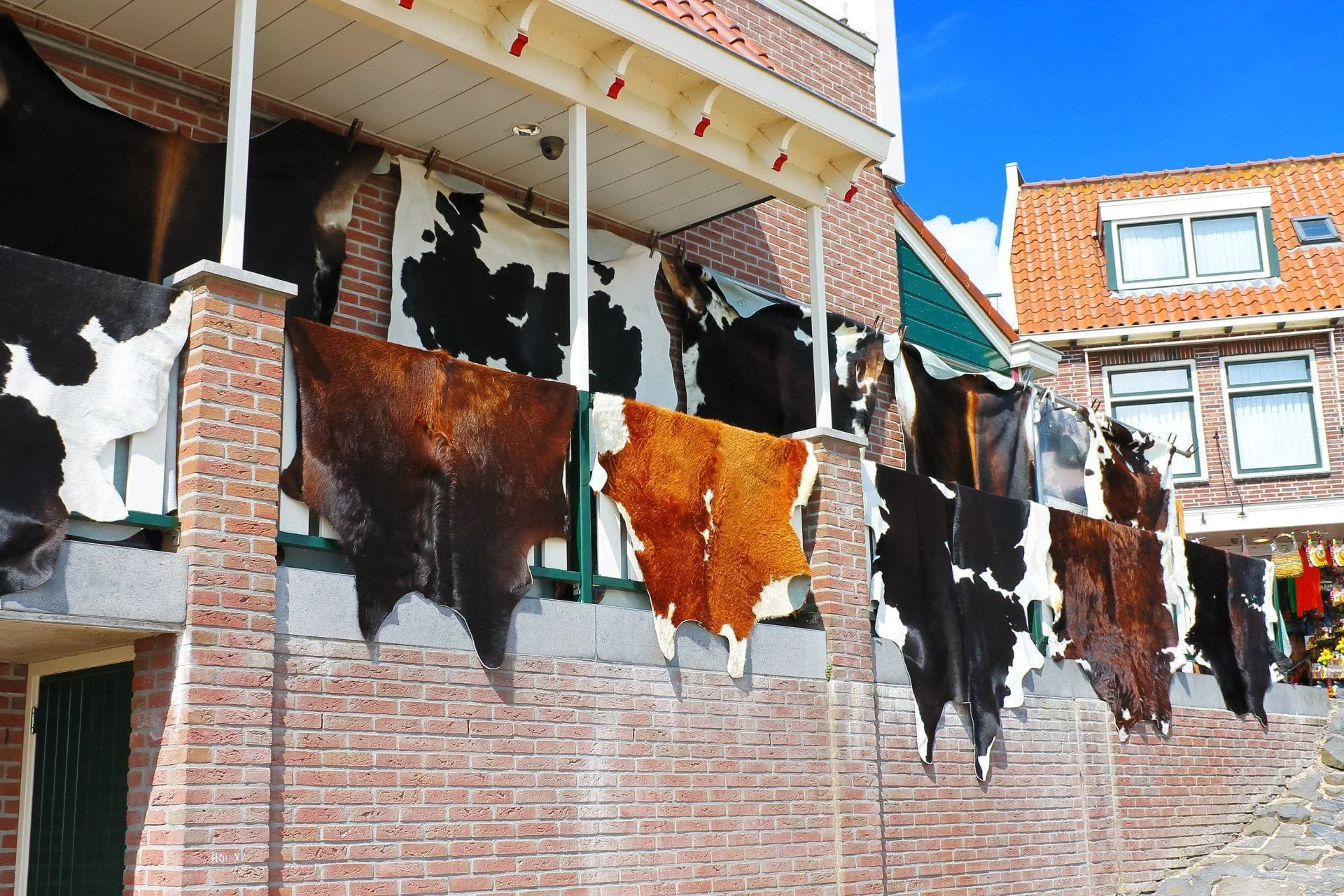 How to Care for Your Area Rugs 32 multiple cowhide rugs hanging outside off of a balcony