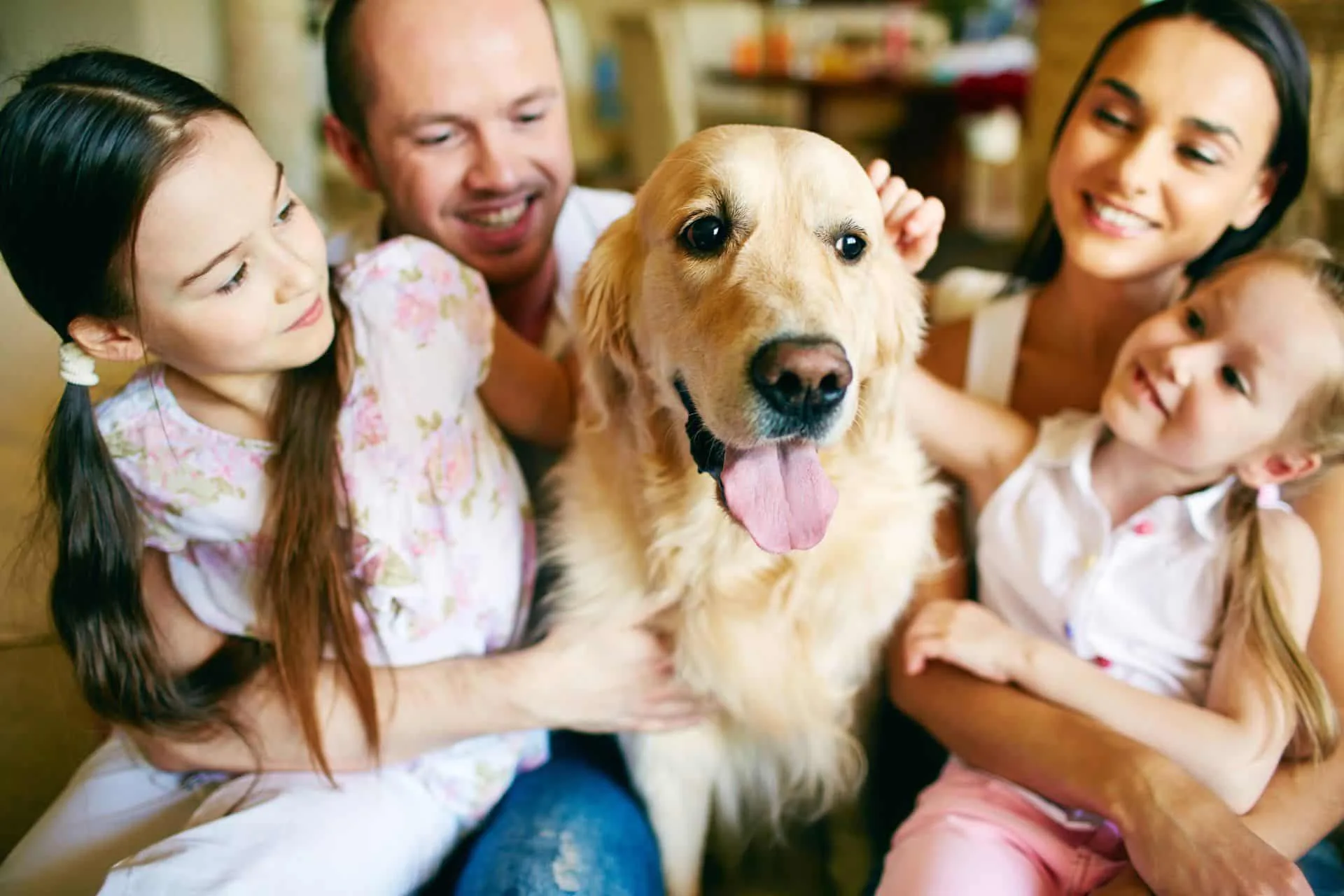 How to Get Rid of Pet Hair and Stains in Your Home 11 parents and two daughters petting family golden retriever
