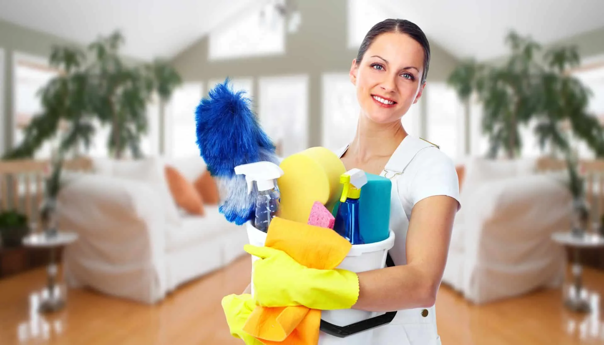 We Have the Best Maid Services in Fargo 2 House Cleaning