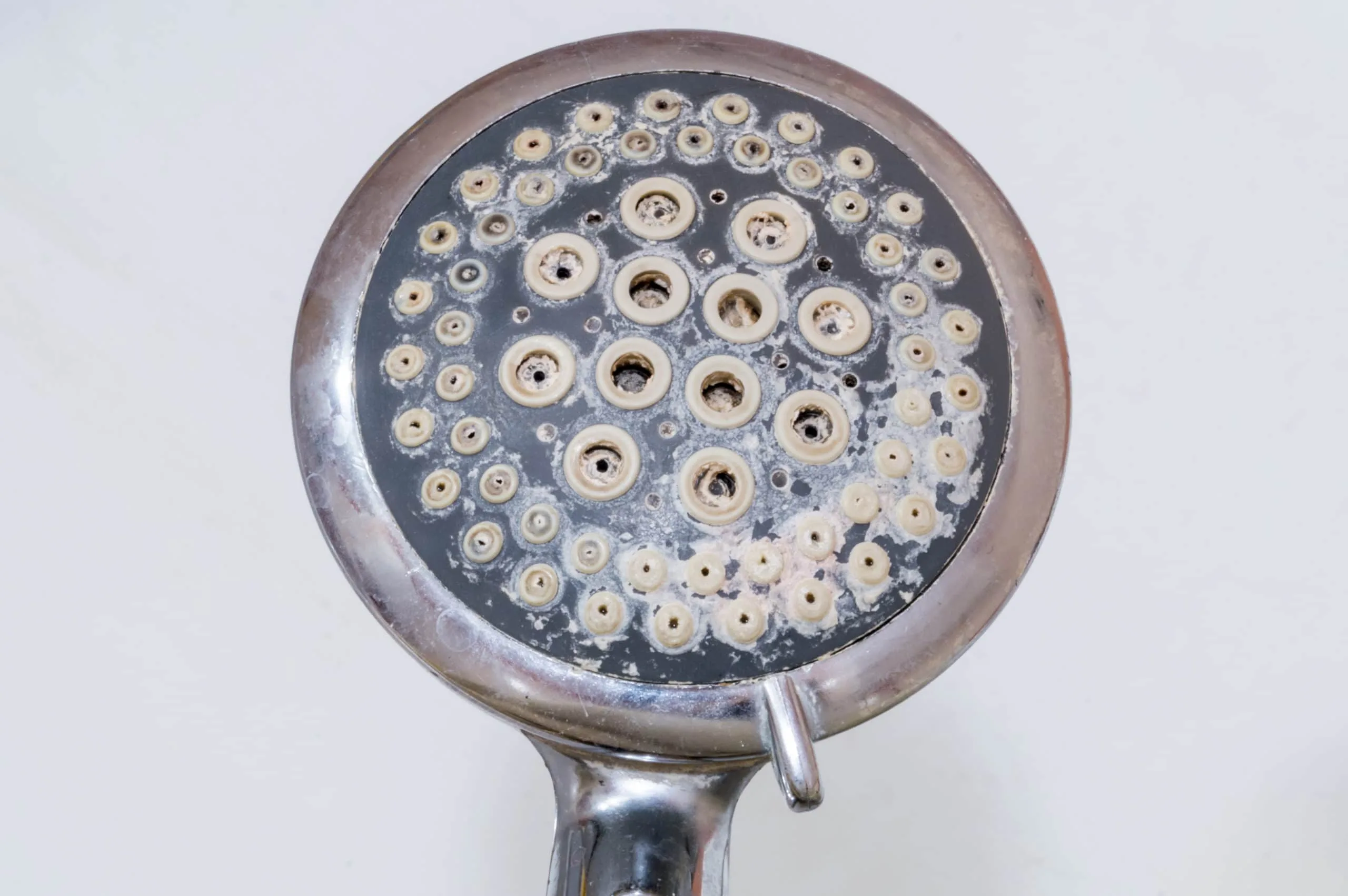How to Clean a Shower Head 3 A close-up of a dirty showerhead