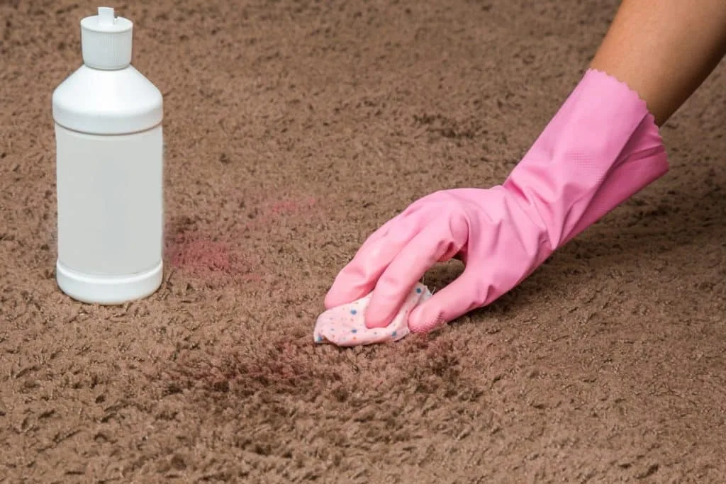How to Get Nail Polish Out of Carpet 3 Some wearing a pink rubber cleaning gloev trying to figure out how to get nail polish out of carpet