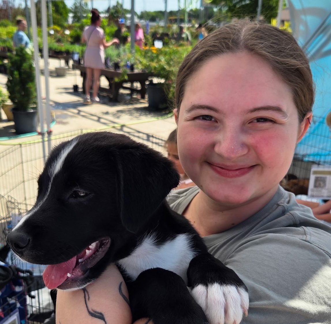 20250621 171619625 iOS e1773260351745